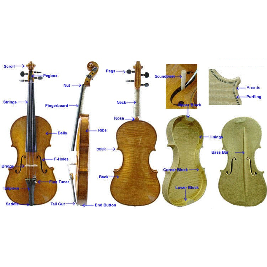 Строение виолончели